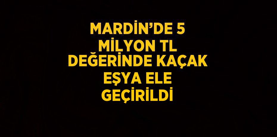 MARDİN’DE 5 MİLYON TL DEĞERİNDE KAÇAK EŞYA ELE GEÇİRİLDİ