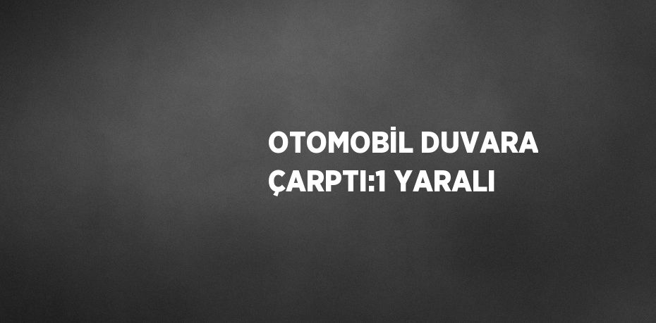 OTOMOBİL DUVARA ÇARPTI:1 YARALI