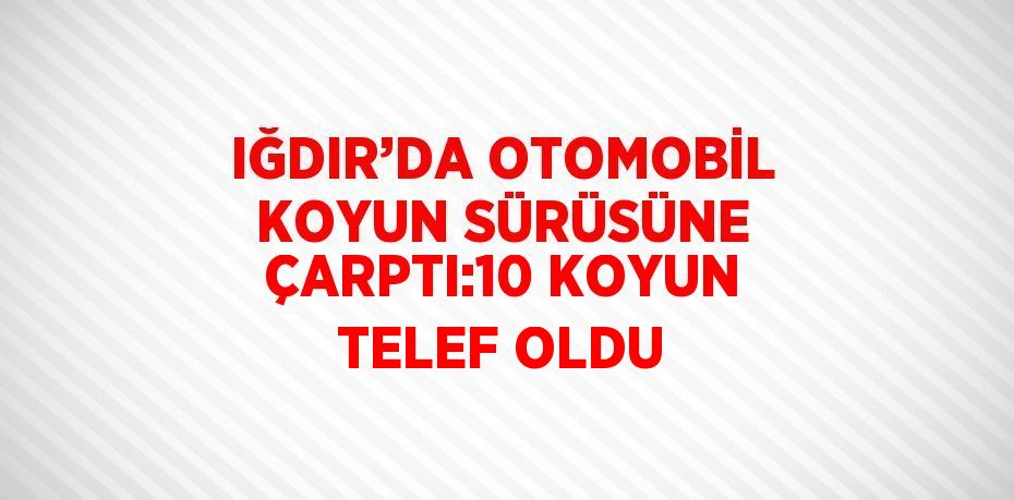 IĞDIR’DA OTOMOBİL KOYUN SÜRÜSÜNE ÇARPTI:10 KOYUN TELEF OLDU