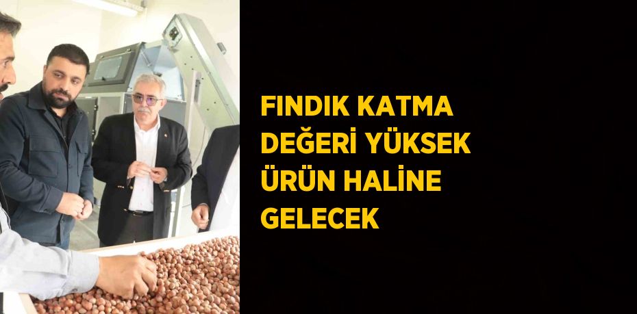 FINDIK KATMA DEĞERİ YÜKSEK ÜRÜN HALİNE GELECEK