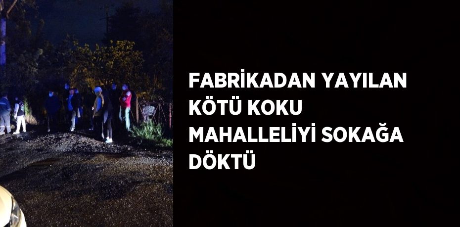 FABRİKADAN YAYILAN KÖTÜ KOKU MAHALLELİYİ SOKAĞA DÖKTÜ