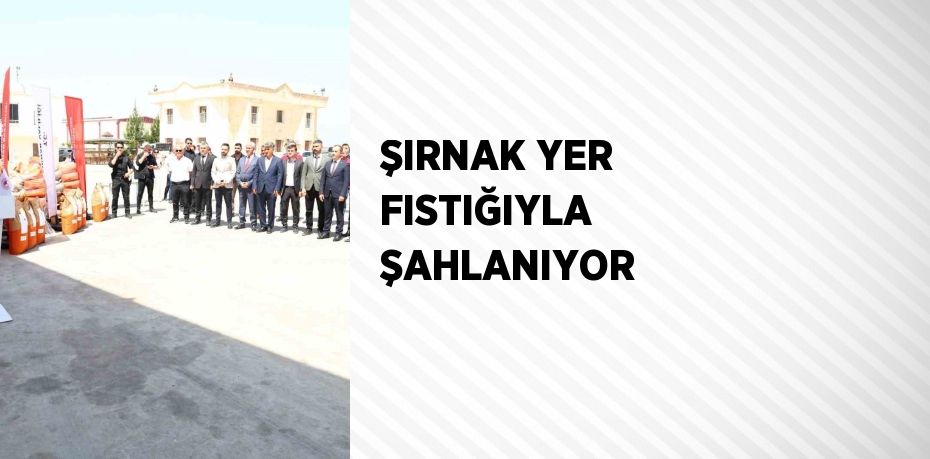 ŞIRNAK YER FISTIĞIYLA ŞAHLANIYOR