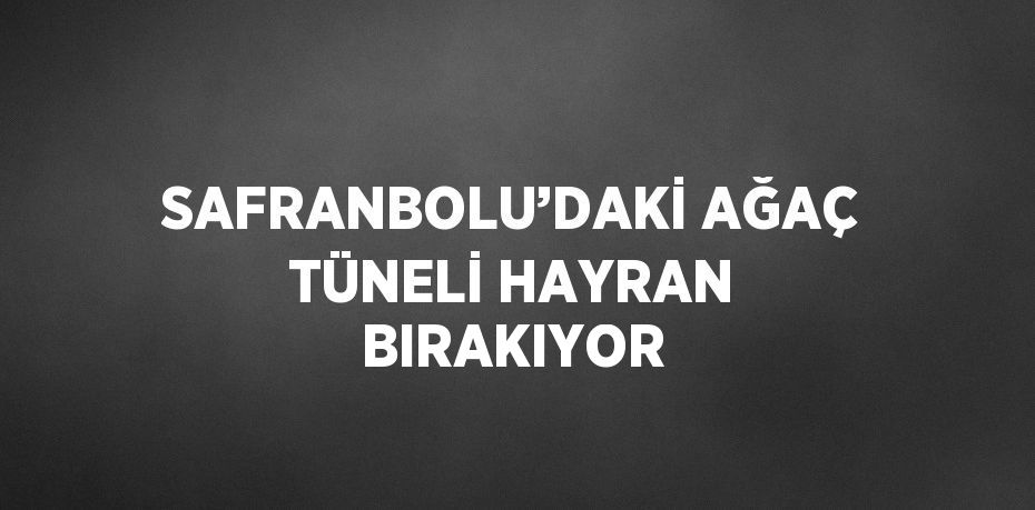 SAFRANBOLU’DAKİ AĞAÇ TÜNELİ HAYRAN BIRAKIYOR