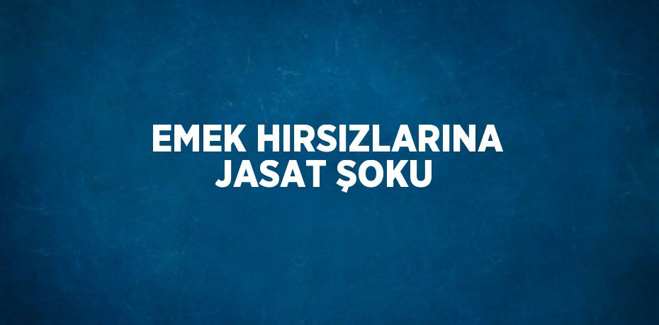 EMEK HIRSIZLARINA JASAT ŞOKU