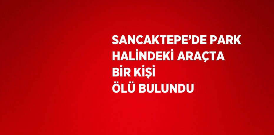 SANCAKTEPE’DE PARK HALİNDEKİ ARAÇTA BİR KİŞİ ÖLÜ BULUNDU