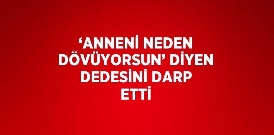 ‘ANNENİ NEDEN DÖVÜYORSUN’ DİYEN DEDESİNİ DARP ETTİ