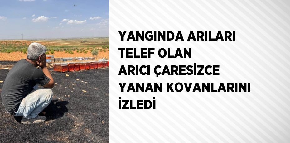 YANGINDA ARILARI TELEF OLAN ARICI ÇARESİZCE YANAN KOVANLARINI İZLEDİ