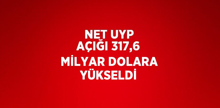 NET UYP AÇIĞI 317,6 MİLYAR DOLARA YÜKSELDİ