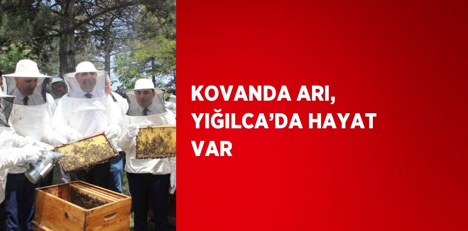 KOVANDA ARI, YIĞILCA’DA HAYAT VAR