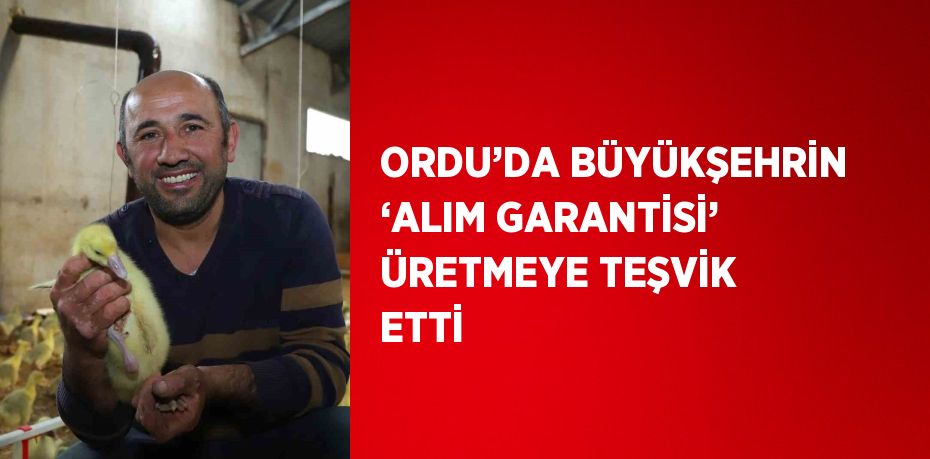 ORDU’DA BÜYÜKŞEHRİN ‘ALIM GARANTİSİ’ ÜRETMEYE TEŞVİK ETTİ