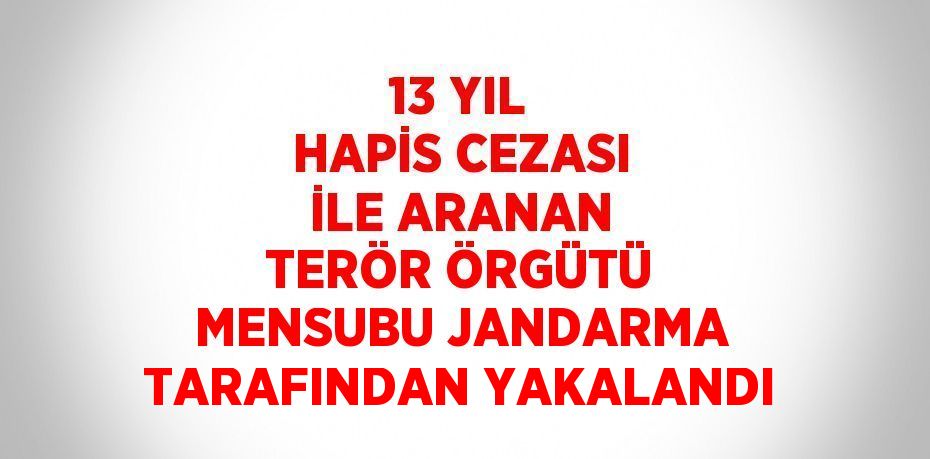 13 YIL HAPİS CEZASI İLE ARANAN TERÖR ÖRGÜTÜ MENSUBU JANDARMA TARAFINDAN YAKALANDI