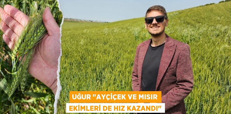 UĞUR "AYÇİÇEK VE MISIR EKİMLERİ DE HIZ KAZANDI"