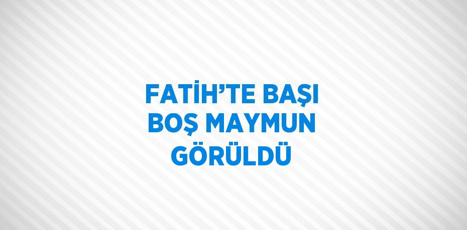 FATİH’TE BAŞI BOŞ MAYMUN GÖRÜLDÜ