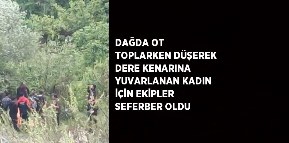 DAĞDA OT TOPLARKEN DÜŞEREK DERE KENARINA YUVARLANAN KADIN İÇİN EKİPLER SEFERBER OLDU