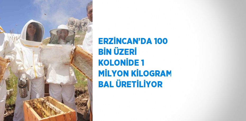 ERZİNCAN’DA 100 BİN ÜZERİ KOLONİDE 1 MİLYON KİLOGRAM BAL ÜRETİLİYOR