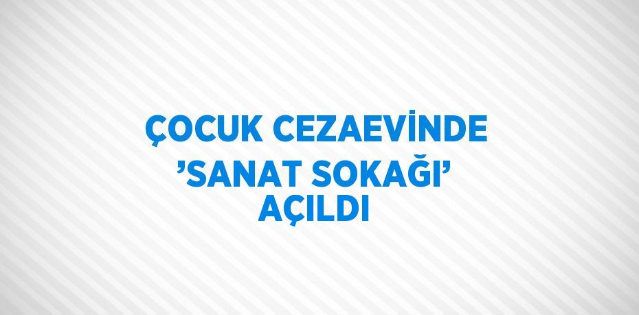 ÇOCUK CEZAEVİNDE ’SANAT SOKAĞI’ AÇILDI