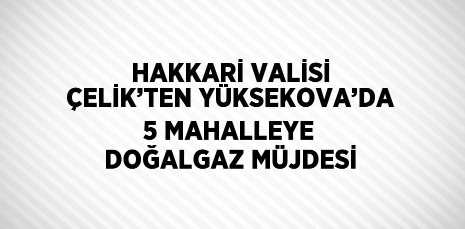 HAKKARİ VALİSİ ÇELİK’TEN YÜKSEKOVA’DA 5 MAHALLEYE DOĞALGAZ MÜJDESİ