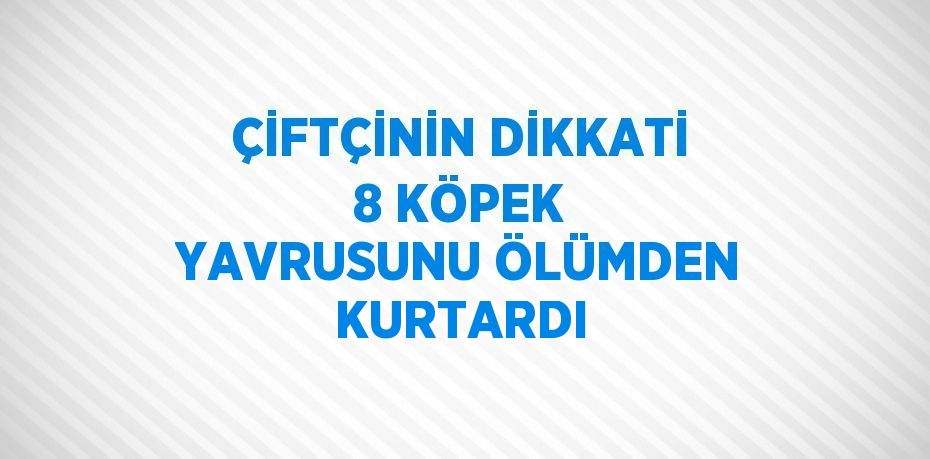 ÇİFTÇİNİN DİKKATİ 8 KÖPEK YAVRUSUNU ÖLÜMDEN KURTARDI