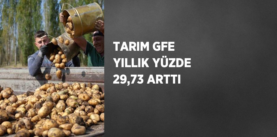 TARIM GFE YILLIK YÜZDE 29,73 ARTTI