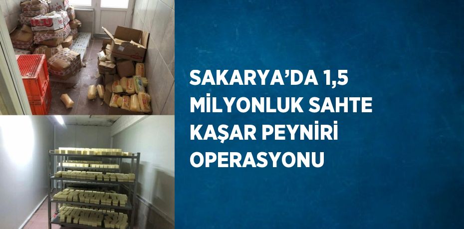 SAKARYA’DA 1,5 MİLYONLUK SAHTE KAŞAR PEYNİRİ OPERASYONU