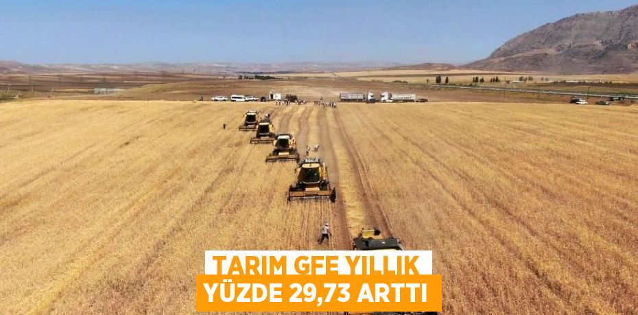 TARIM GFE YILLIK YÜZDE 29,73 ARTTI