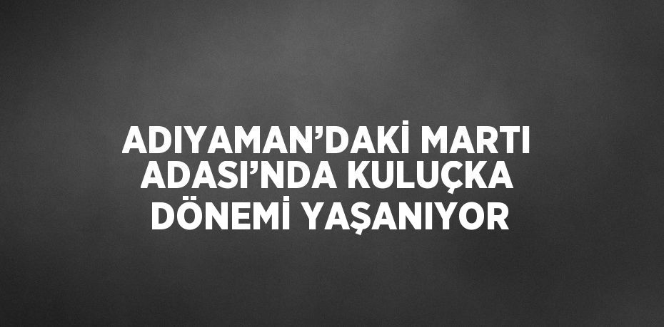 ADIYAMAN’DAKİ MARTI ADASI’NDA KULUÇKA DÖNEMİ YAŞANIYOR