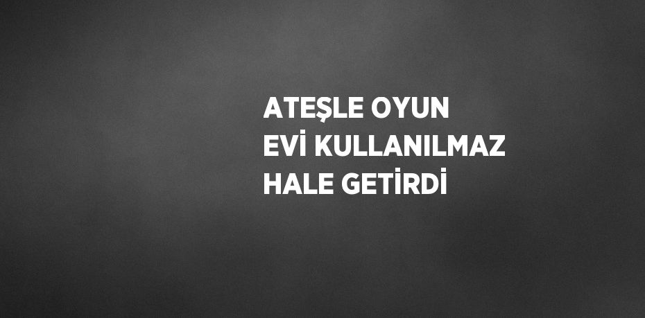 ATEŞLE OYUN EVİ KULLANILMAZ HALE GETİRDİ