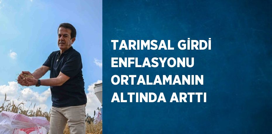 TARIMSAL GİRDİ ENFLASYONU ORTALAMANIN ALTINDA ARTTI