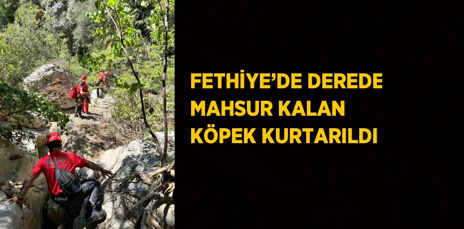 FETHİYE’DE DEREDE MAHSUR KALAN KÖPEK KURTARILDI
