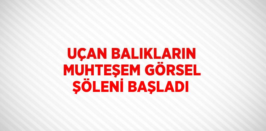 UÇAN BALIKLARIN MUHTEŞEM GÖRSEL ŞÖLENİ BAŞLADI