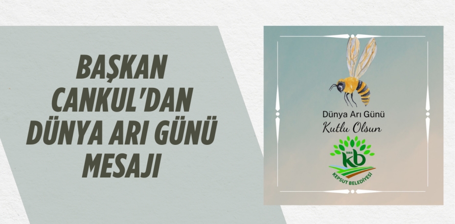 BAŞKAN CANKUL'DAN DÜNYA ARI GÜNÜ MESAJI