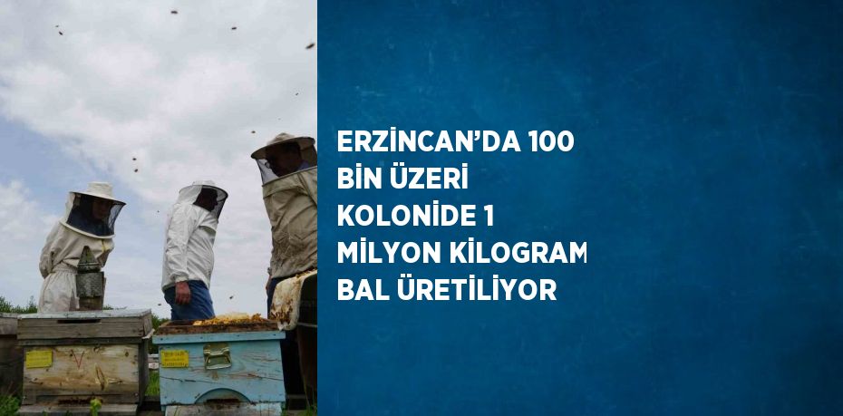 ERZİNCAN’DA 100 BİN ÜZERİ KOLONİDE 1 MİLYON KİLOGRAM BAL ÜRETİLİYOR