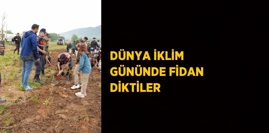 DÜNYA İKLİM GÜNÜNDE FİDAN DİKTİLER