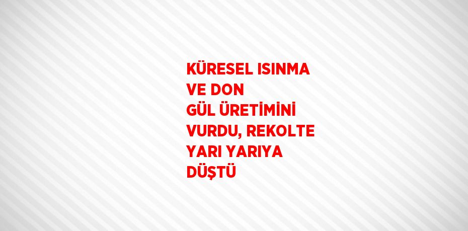 KÜRESEL ISINMA VE DON GÜL ÜRETİMİNİ VURDU, REKOLTE YARI YARIYA DÜŞTÜ