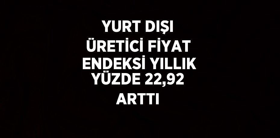 YURT DIŞI ÜRETİCİ FİYAT ENDEKSİ YILLIK YÜZDE 22,92 ARTTI