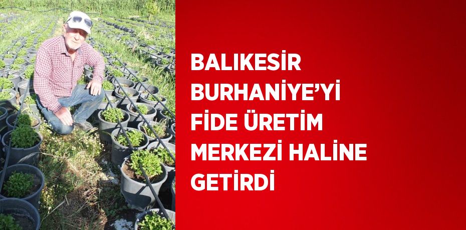 BALIKESİR BURHANİYE’Yİ FİDE ÜRETİM MERKEZİ HALİNE GETİRDİ
