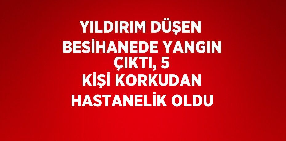 YILDIRIM DÜŞEN BESİHANEDE YANGIN ÇIKTI, 5 KİŞİ KORKUDAN HASTANELİK OLDU