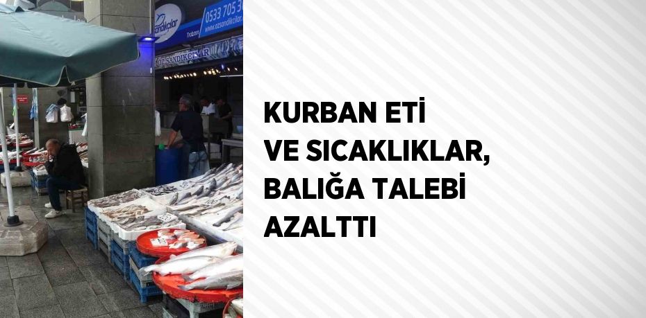 KURBAN ETİ VE SICAKLIKLAR, BALIĞA TALEBİ AZALTTI