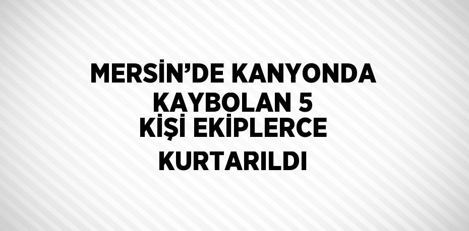 MERSİN’DE KANYONDA KAYBOLAN 5 KİŞİ EKİPLERCE KURTARILDI