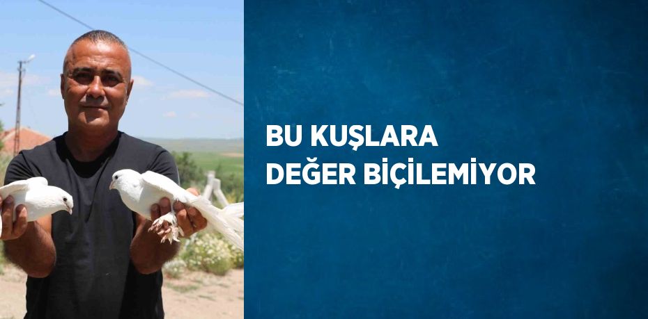 BU KUŞLARA DEĞER BİÇİLEMİYOR