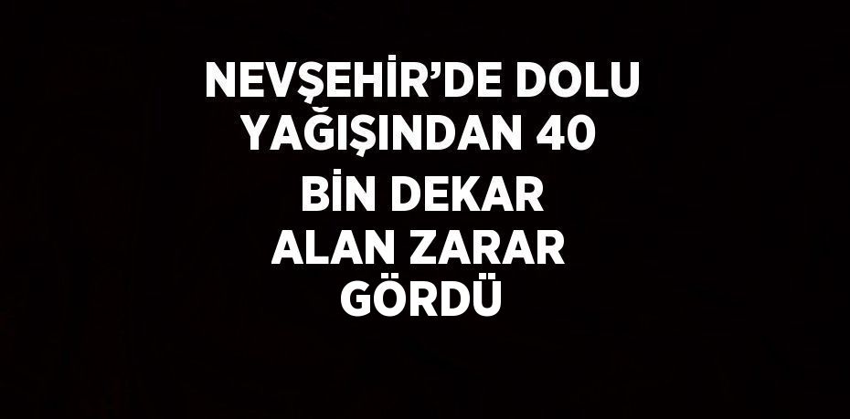 NEVŞEHİR’DE DOLU YAĞIŞINDAN 40 BİN DEKAR ALAN ZARAR GÖRDÜ