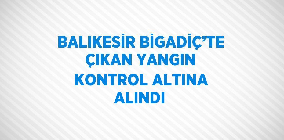 BALIKESİR BİGADİÇ’TE ÇIKAN YANGIN KONTROL ALTINA ALINDI