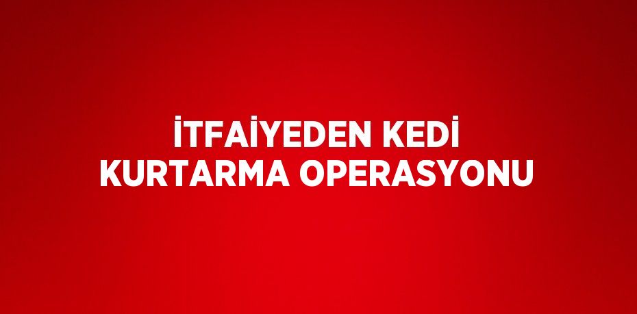 İTFAİYEDEN KEDİ KURTARMA OPERASYONU