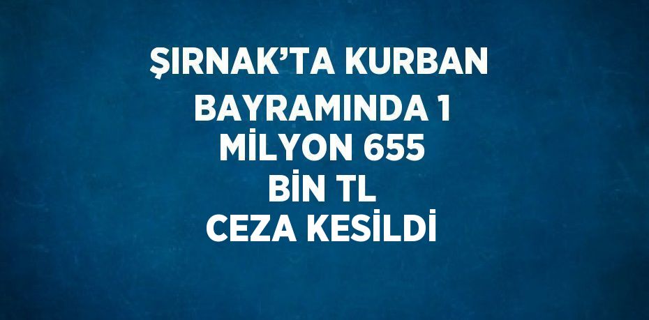 ŞIRNAK’TA KURBAN BAYRAMINDA 1 MİLYON 655 BİN TL CEZA KESİLDİ