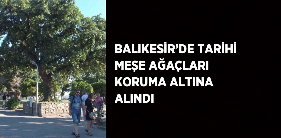 BALIKESİR’DE TARİHİ MEŞE AĞAÇLARI KORUMA ALTINA ALINDI