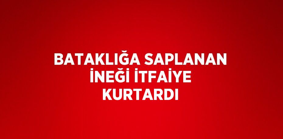 BATAKLIĞA SAPLANAN İNEĞİ İTFAİYE KURTARDI