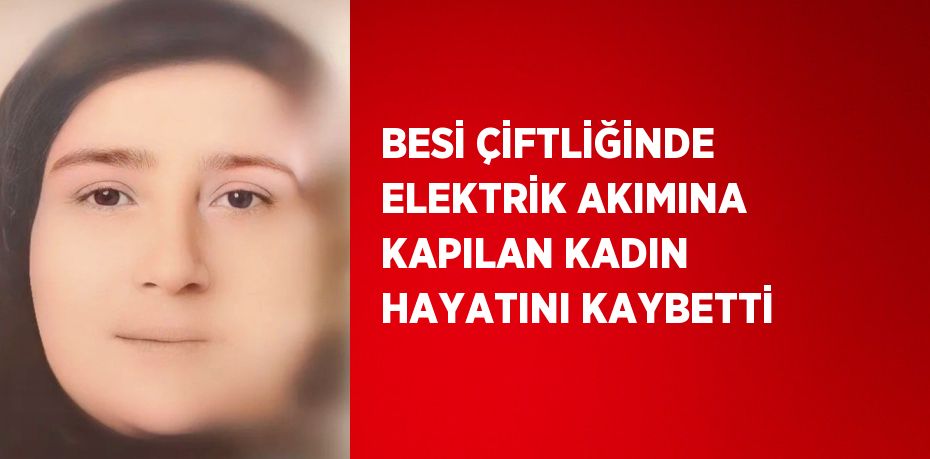 BESİ ÇİFTLİĞİNDE ELEKTRİK AKIMINA KAPILAN KADIN HAYATINI KAYBETTİ