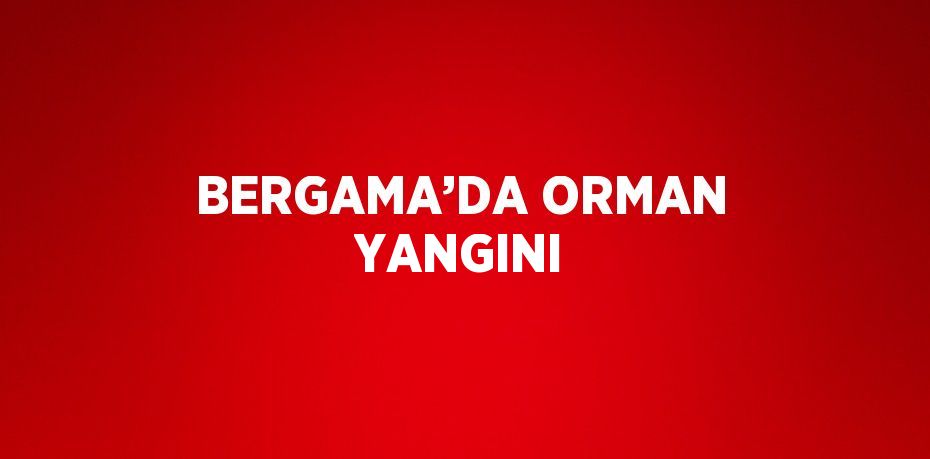 BERGAMA’DA ORMAN YANGINI