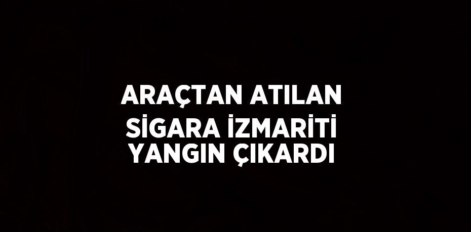 ARAÇTAN ATILAN SİGARA İZMARİTİ YANGIN ÇIKARDI