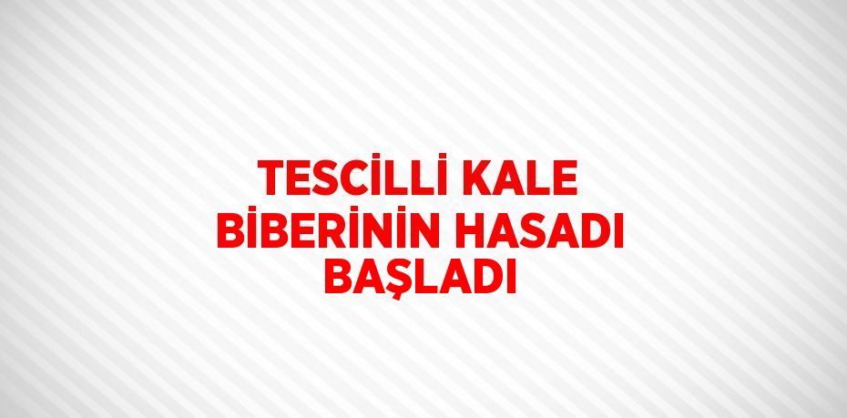 TESCİLLİ KALE BİBERİNİN HASADI BAŞLADI